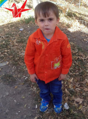 Эдуарду Иванову, 7 лет, Ставропольский край, Буденновский район, с. Архангельское