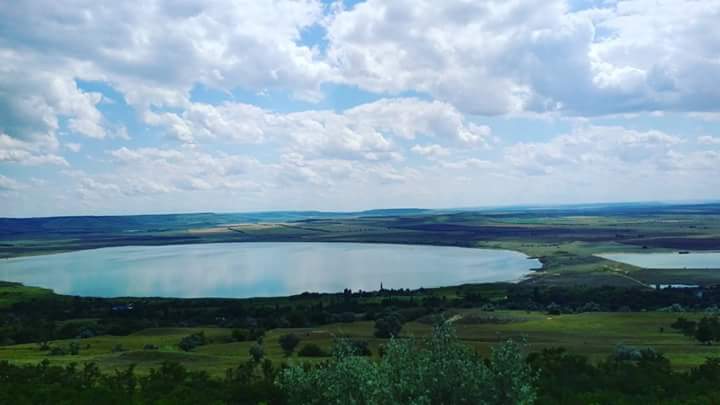 участник 12